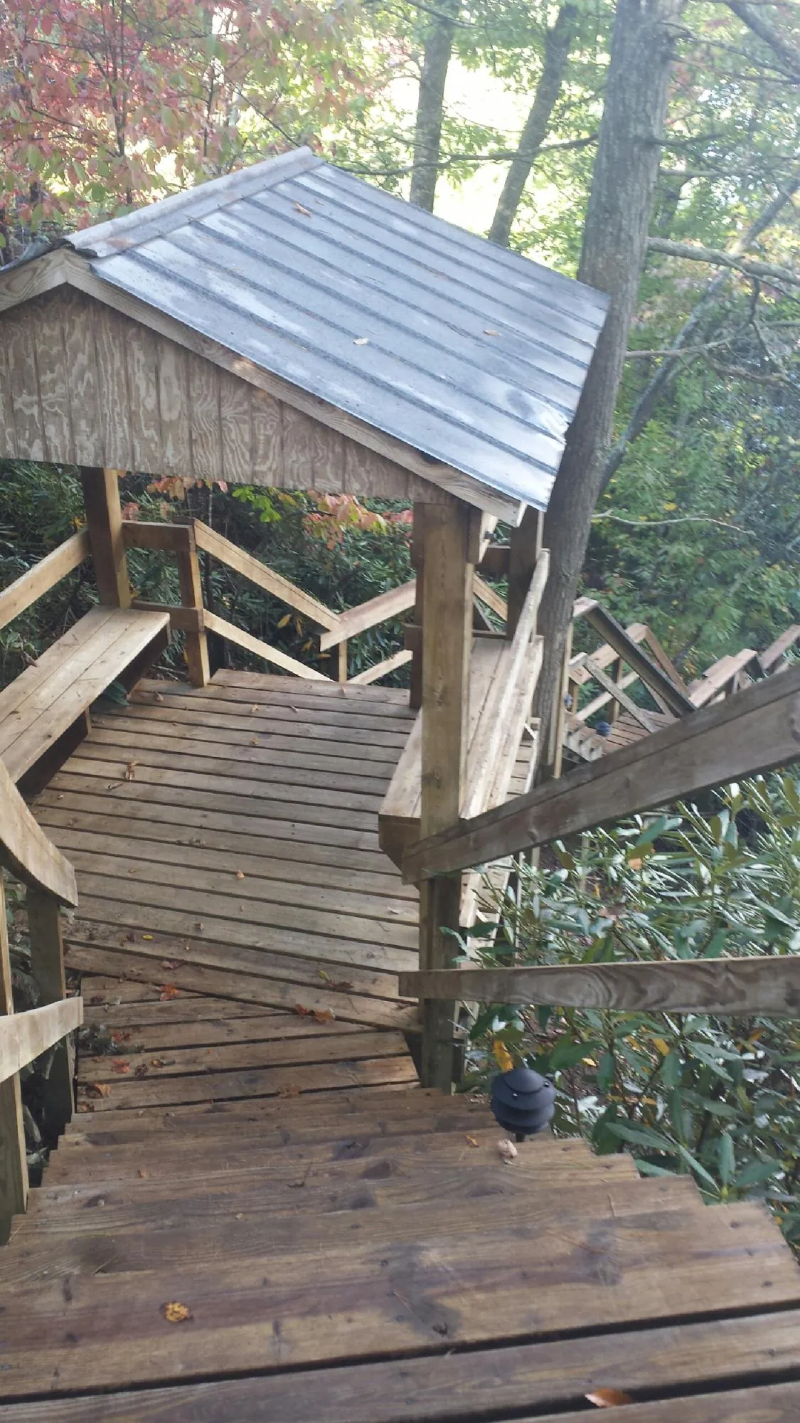 Metal roofed shelter over wooden steps on a wooded walkway — Skylight Repair & Installation work by our crew in Willamina