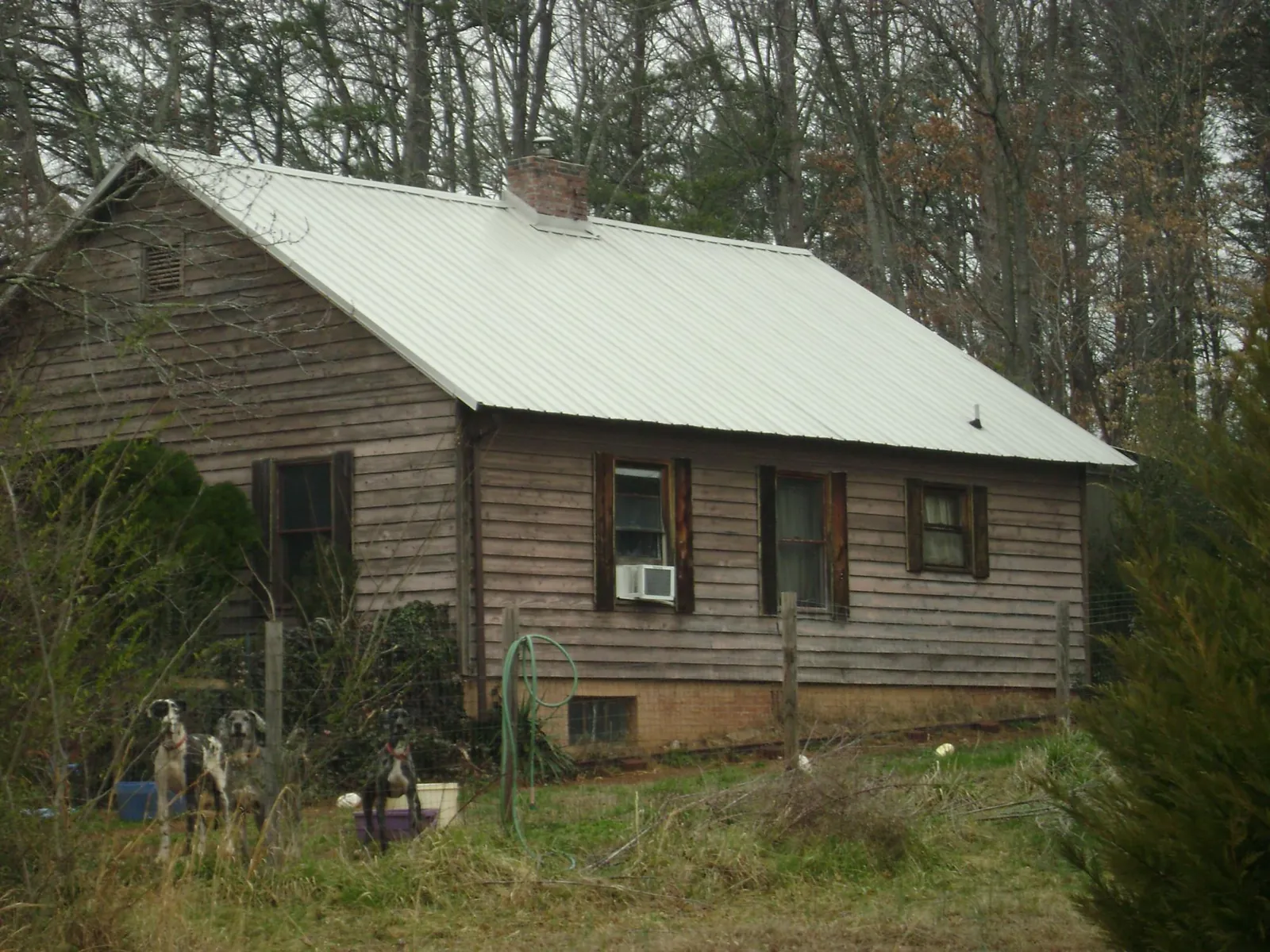 White metal roof on an old wood sided farmhouse, from a Metal Roof Installation job in Willamina